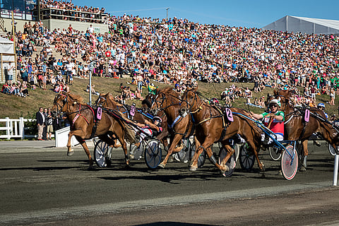 Akaasia piti kilpasiskonsa kurissa avausmatkalla.