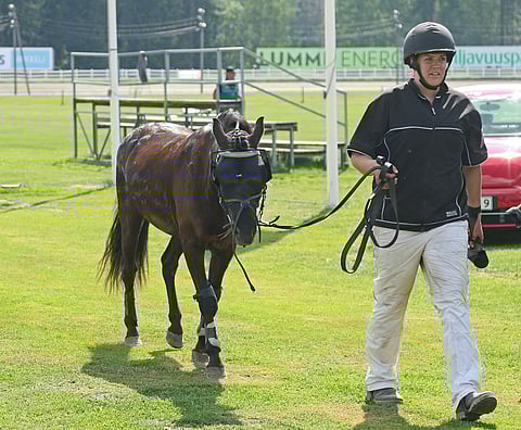 Katariina Hämäläinen taluttaa Drömmer Lu Artia kohti tallialuetta.