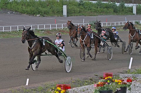 Sue's Photo selvisi vuoden 2019 Suur-Hollola-ajon finaaliin. Kuvassa tyylinäyte edellisvuodelta.