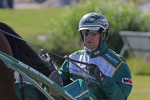 Tapio Mäki-Tulokkaan tallin MAS Henri on ideavihjeen tukipilari.