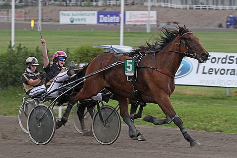 Kuvassa Tamara Skutnabbin ajamana voittava Unequalled Stride on perjantain ideavarma.