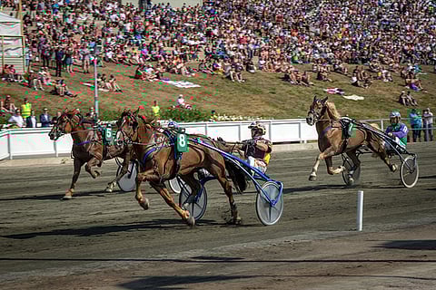 Välähdyksen vakuuttava voitto toi uutta väriä kuninkuuskilpailuun.