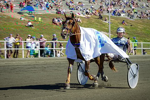 Vappuäijä on päätöskohteessa ideasysteemin varmaidea.