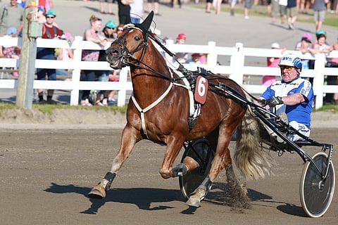 Vieskerin Valo otti viimeisen kilpailukautensa ensimmäisen voiton suosikkina.