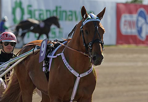 Vitterin viimeisin kilpailu on kesän 2018 Suur-Hollola-ajo. Kuva: Jarno Unkuri.