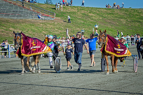 Costello ja Akaasia kruunattiin ravikuninkaallisiksi viime vuonna Rovaniemellä.