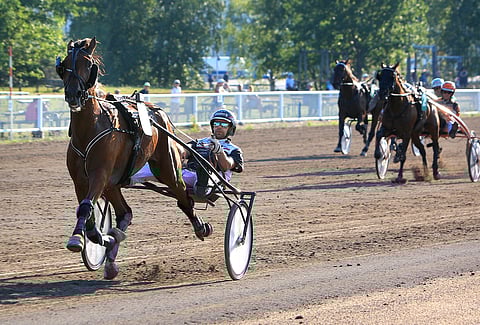 Mika Forssin kannustama Lovely Alexander oli lähdössään totaalisen ylivoimainen.