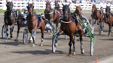 Snabba Cash pystyy Teivossa voittoon.