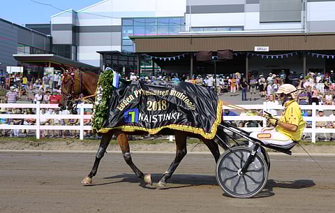Virginia Grif nipisti Eugen Pylvänäisen muistoajossa ennätyksestään kymmenyksen lukemiin 10,4a, jota nopeammalla ajalla on St Michelkään korkattu vain kymmenesti. Alessandro Gocciadoron valmennettava juoksi kengät jalassa hallitun voiton. Kuva: Totofoto.