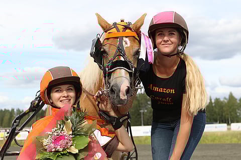 Ponivaltakunnan valtiaat selvillä