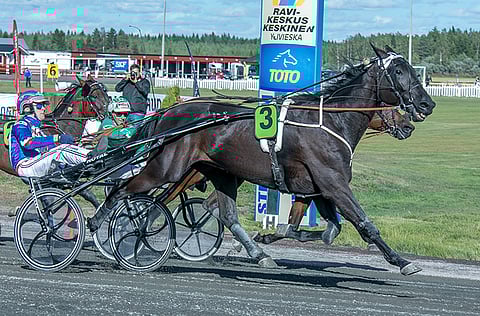 Edward Ale voitti Tiina Koskisen tallista mm. Malja-ajon 2018. Uran kokonaisansiot nousivat 495 603 euroon.