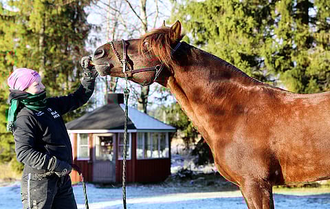 Evartti ja Jutta Ihalainen kotona Pihtiputaalla viime vuoden marraskuussa.