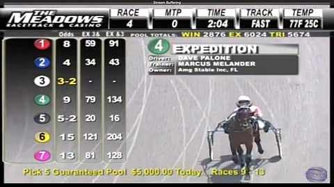 Expedition kilpaili lauantaina aurinkoisella The Meadowsin raviradalla päiväraveissa. Kuva Meadows live stream