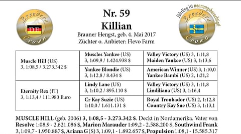 Killianin sukutaulu sai suomalaisen suurhevosenomistaja Reima Kuislan syttymään. Kuva Totofoto