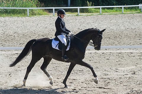 Louise Jönsson ja Dayna.