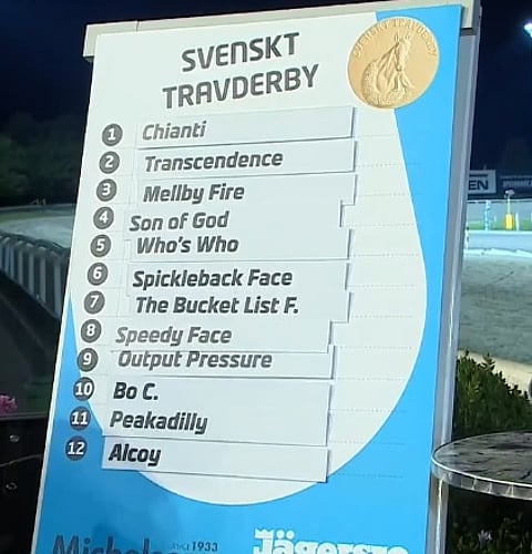 Who's Who jähteen Derby-finaaliin radalta viisi. (Kuva: ATG Live)