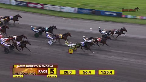 Johnny Takter ajoi jo toisen voittonsa Meadowlandsin viidennessä lähdössä, tammoje 2-vuotiskisassa Doherty memorialissa. Kuva Meadowlands live stream
