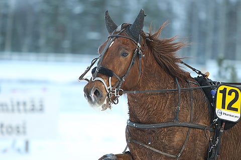 Rikasson kannattaa ottaa kakkoskohteessa liian vähän pelattuna mukaan systeemiin.