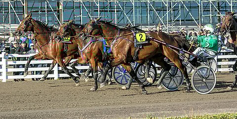 Ari Moilasen ajama Bret Boko voitti kultafinaalin niukasti ennen Top Of The Worldia, Tir Du Cauxia ja Callela Ladybossia.