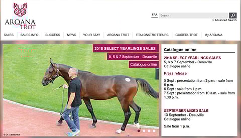 Lisää varsoja suomalaisille Deauvillen huutokaupasta