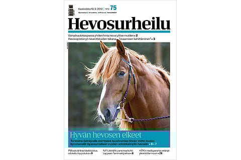 Novan Voitto on hävinnyt vain kerran urallaan. Kannen kuva: Anu Leppänen.