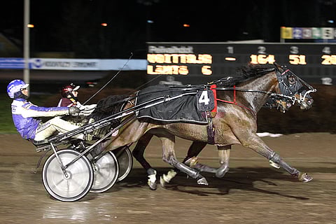 Radiance Broline hakee tammalähdössä yllätystä.