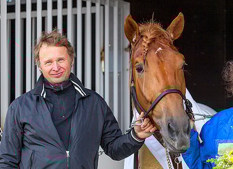 Ari Vianderin valmentama Sirukasson on haastaja suomenhevosten Kriteriumissa.