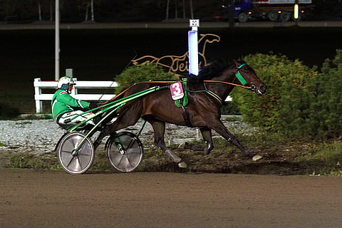 Kriterium-karsinnan voittanut Graceful Swamp laukkasi finaalissa ja pyrkii palaamaan voittokantaan Kouvolassa.