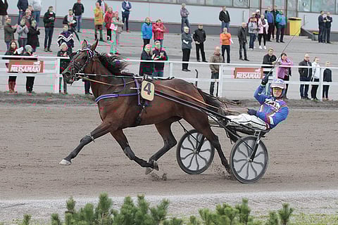 Boadicea ei pääse mukaan Kasvattajakruunu-finaaliin.