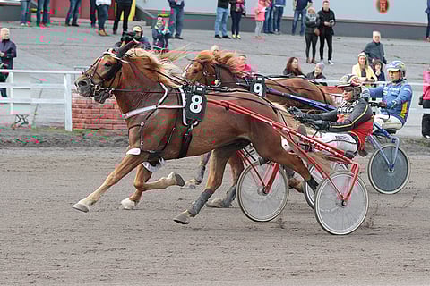 Juiseri palaa Mikkeliin tauolta.