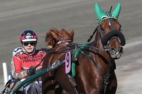 Vilma Lyydia osallistui Rovaniemellä Kuningatarkilpailuun. Silloin ohjastuksesta vastasi Tuomas Pakkanen.