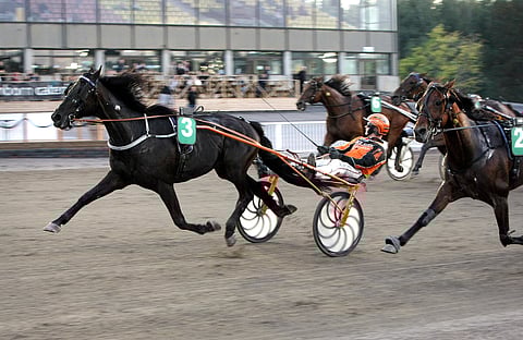 Celebrity Lane meni mailin lujaa läpi Vermossa.