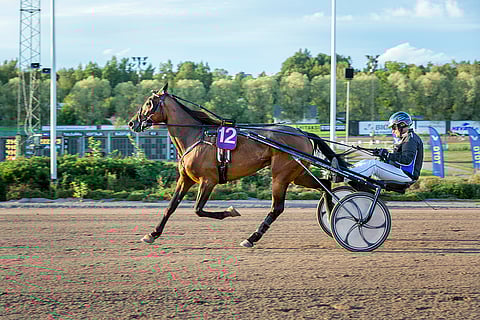 Jack Vader starttaa derbyfinaalissa ysiradalta Samuli Innasen ohjastamana. Kuva: Ada Pykäläniemi