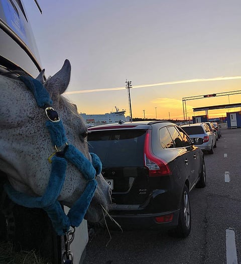 Legolas, pitkällä matkalla.