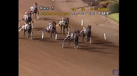 Ma Was Right - iso valkoinen tähti päähupussaan - kiri ulkoa kuvassa vasemmalla neljännen palkinnon suomalaistalli All Laid Outille. Kuva live stream