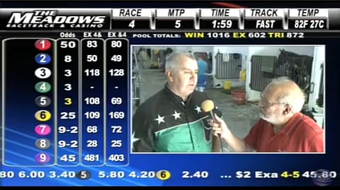 Valmentaja Noel Daley kehui ennakkohaastattelussa Ma Was Rightia hyvin älykkääksi hevoseksi ja maan nopeimmaksi tammaksi! Kuva The Meadows live stream