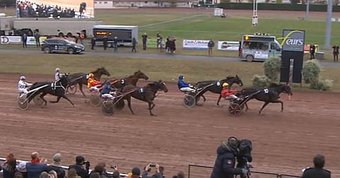 Bold Eagle kiri ohi johtaneesta Cavallerianista. (Kuva: Equidia)