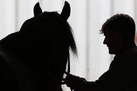 Graceful Swampilla oli alkuviikosta kuumetta. Kuva: Jarno Unkuri