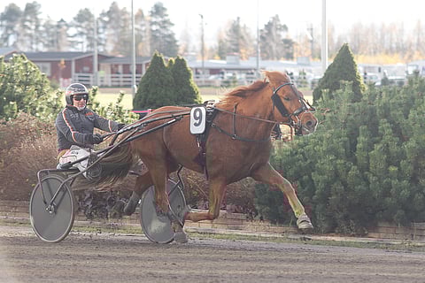 Julmin piti avauskohteen suosikkina, vaikkei ollut Peter Lindroosin mielestä parhaimmillaan.