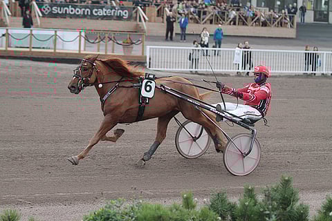 Derbyssä toiseksi jäänyt Vixus jatkaa ikäluokkansa kärkinimenä.