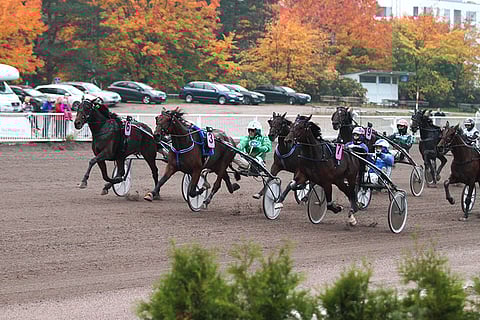 Zogo Match voitti vuonna 2018 Vermossa Kolmivuotispokaalin Ari Moilasen ajamana johtavan rinnalta. Oulussa ruunaa kuskasi Santtu Raitala.