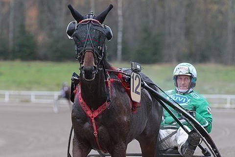 Por Nie Rock näyttää nauttivan kilpailemisesta.