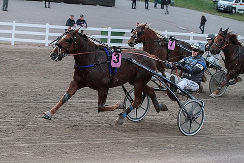 Vappuäijä on toinen Hevosurheilun varmoista.