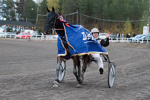 Tir du Caux jaksoi terhakimmin Tammer-ajon 3100 metriä ja uusi viimevuotisen voittonsa Iikka Nurmosen ajamana.