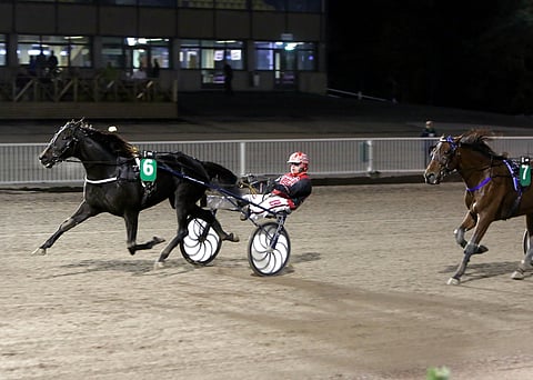 Free Me voitti Tammatähden.