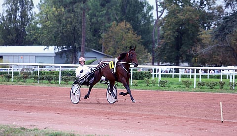 Ranch Kelly näytti terävältä jo lämmityksessä. Kuva: Leena Alerini