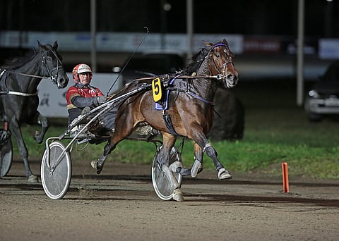 Jolly Roy on ensimmäisen Kuopio Stakes -karsinnan varma.