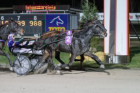 North Lexus on Magic Mondayn kohdelähtöjen varmin voittaja.