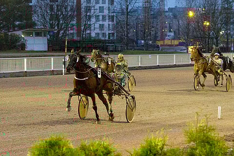 Jukka Torvisen ajama Beat Of Love vakuutti Toto76-avauksessa.