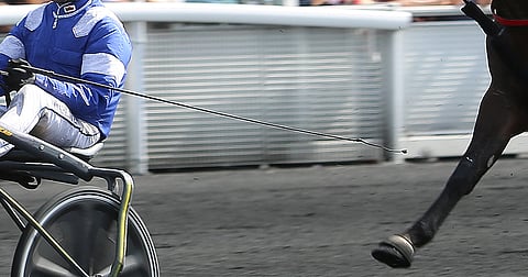 Piiska. Mitä siitä pitäisi ajatella?